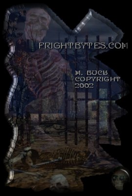 Haunted Cemetery Gates by M. Buck copyright 2002. For exclusive use by Frightbytes.com. Not Public Domain.