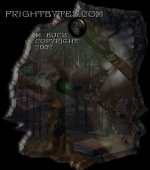 Vanishing Spirits by M. Buck copyright 2002. For exclusive use by Frightbytes.com. Not Public Domain.