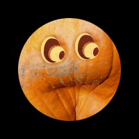 Dented Pumpkin