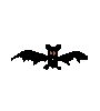 bat gif animation