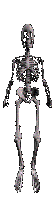 skeleton animation