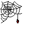 spider animation